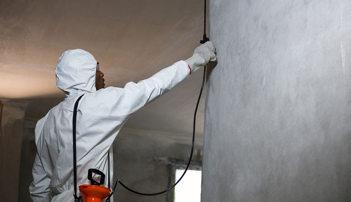 construction-pest construction-pest