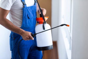 professional pest control services