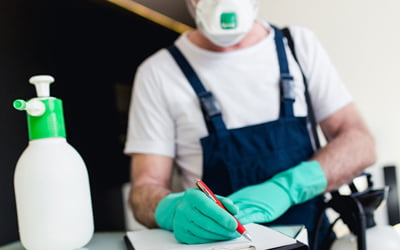 pest control in melbourne pest control in melbourne