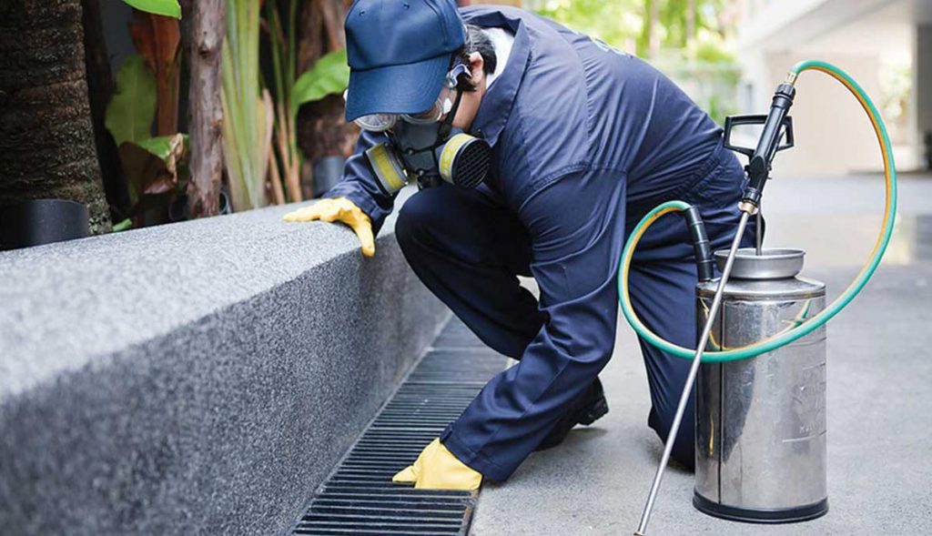 pest-spray-floor