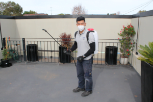 Best pest control services in Perth