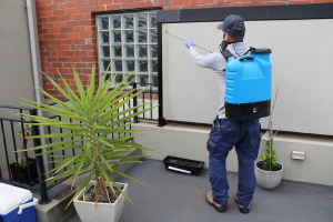 pest control Perth