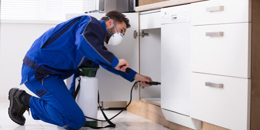 termite treatment