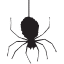 Spider Control Services Perth