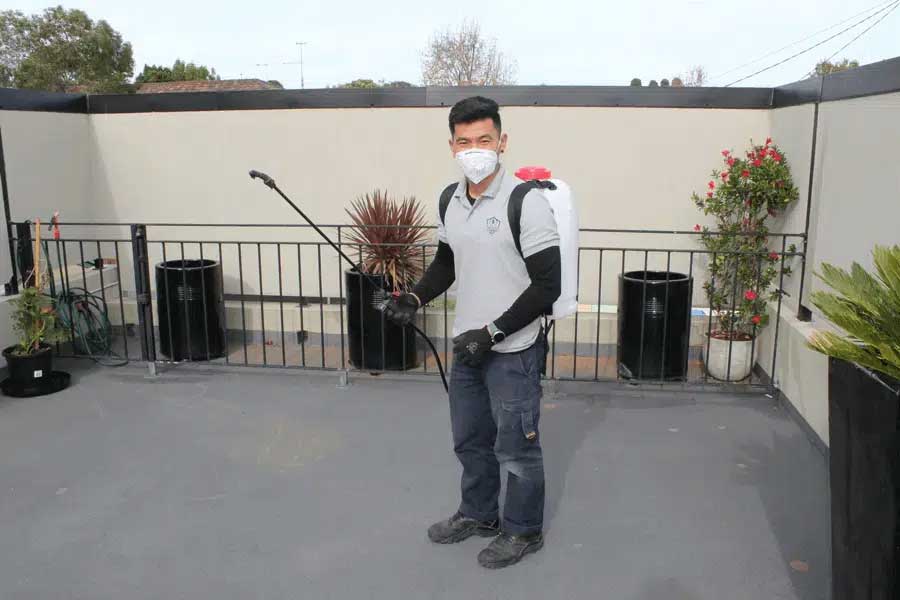 Best Pest Control Services In Perth