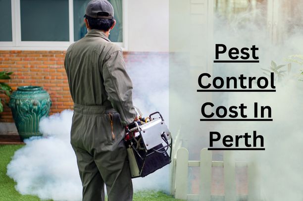 Pest Control Cost in perth