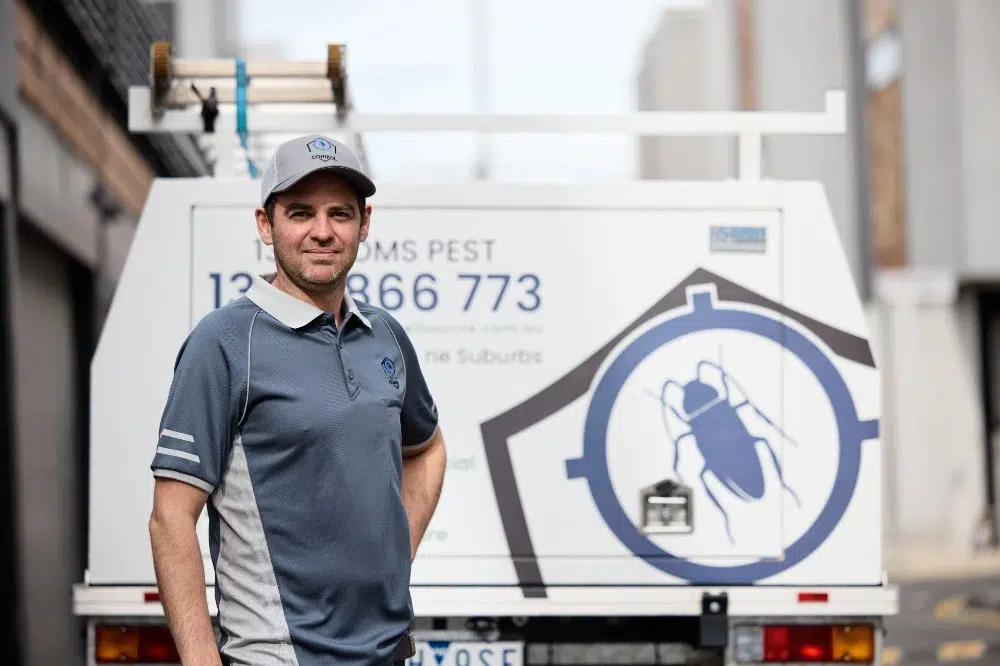 Pest Control Perth